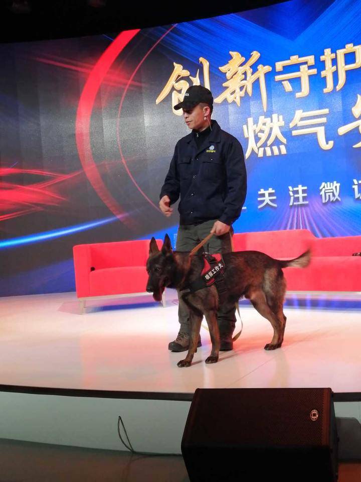 齐鲁晚报网-山东新闻门户 传播品质资讯